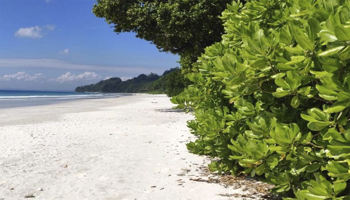 Andaman beach tour package